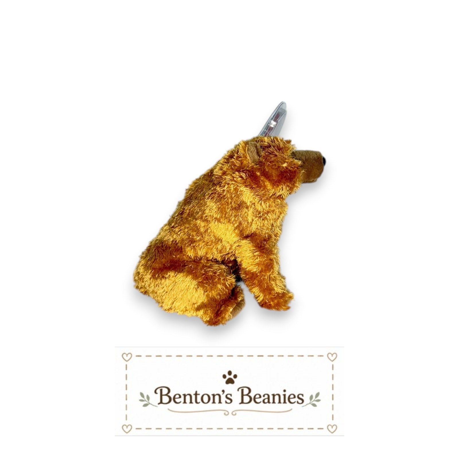 Sequoia the Bear TY Beanie Baby | Mint Heart & Tush Tag