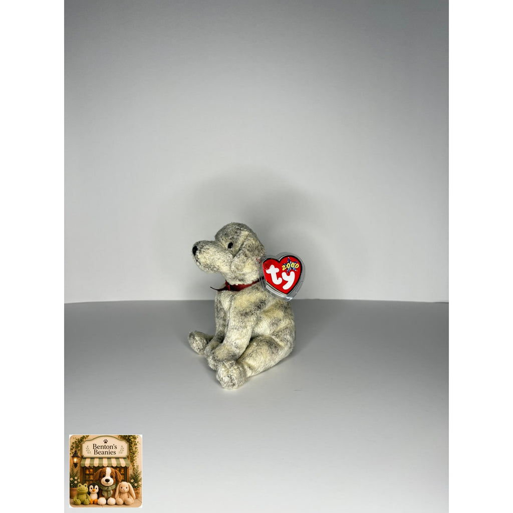 Tricks the Dog TY Beanie Baby | Mint Heart & Tush Tag