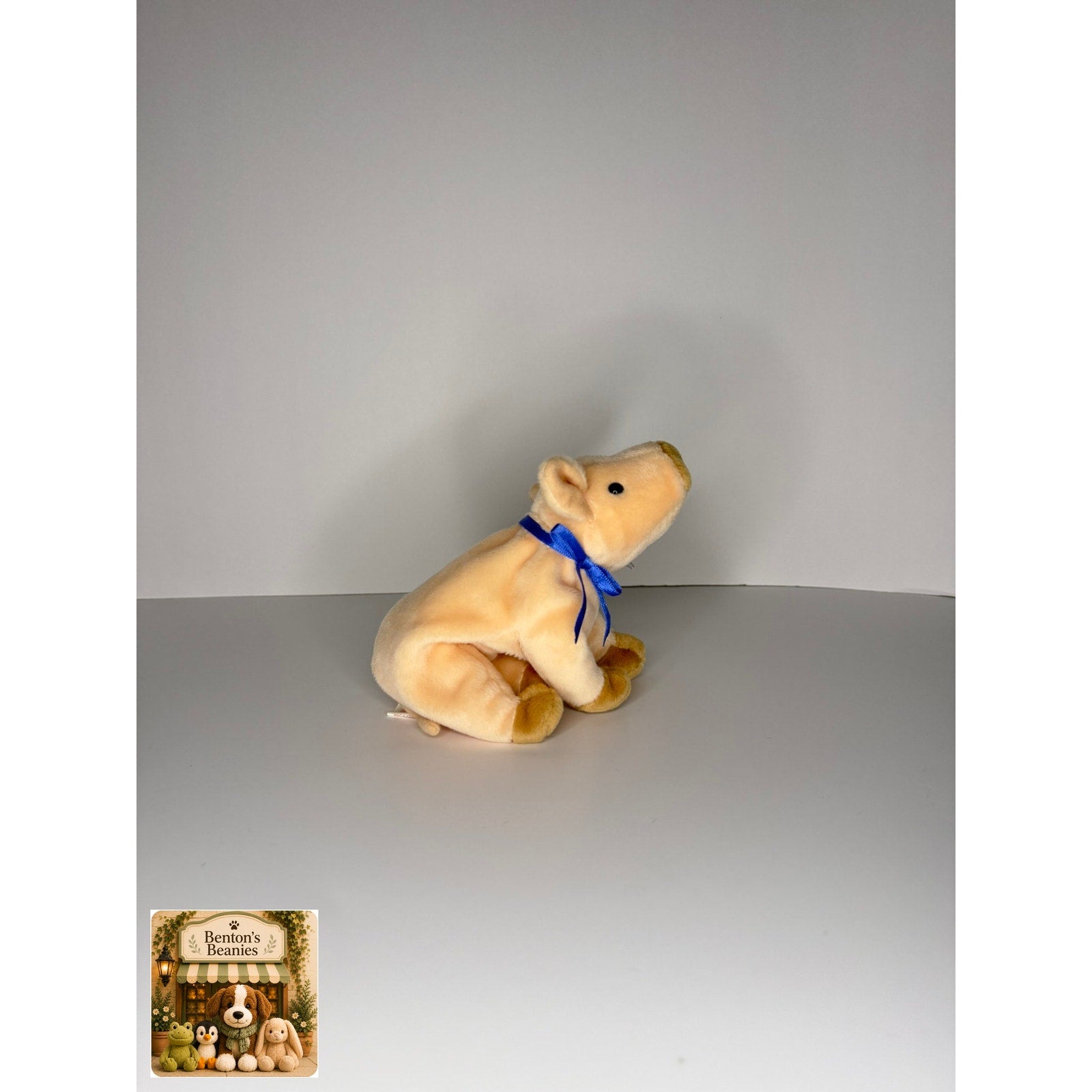 Knuckles the Pig TY Beanie Baby | Mint Heart & Tush Tag