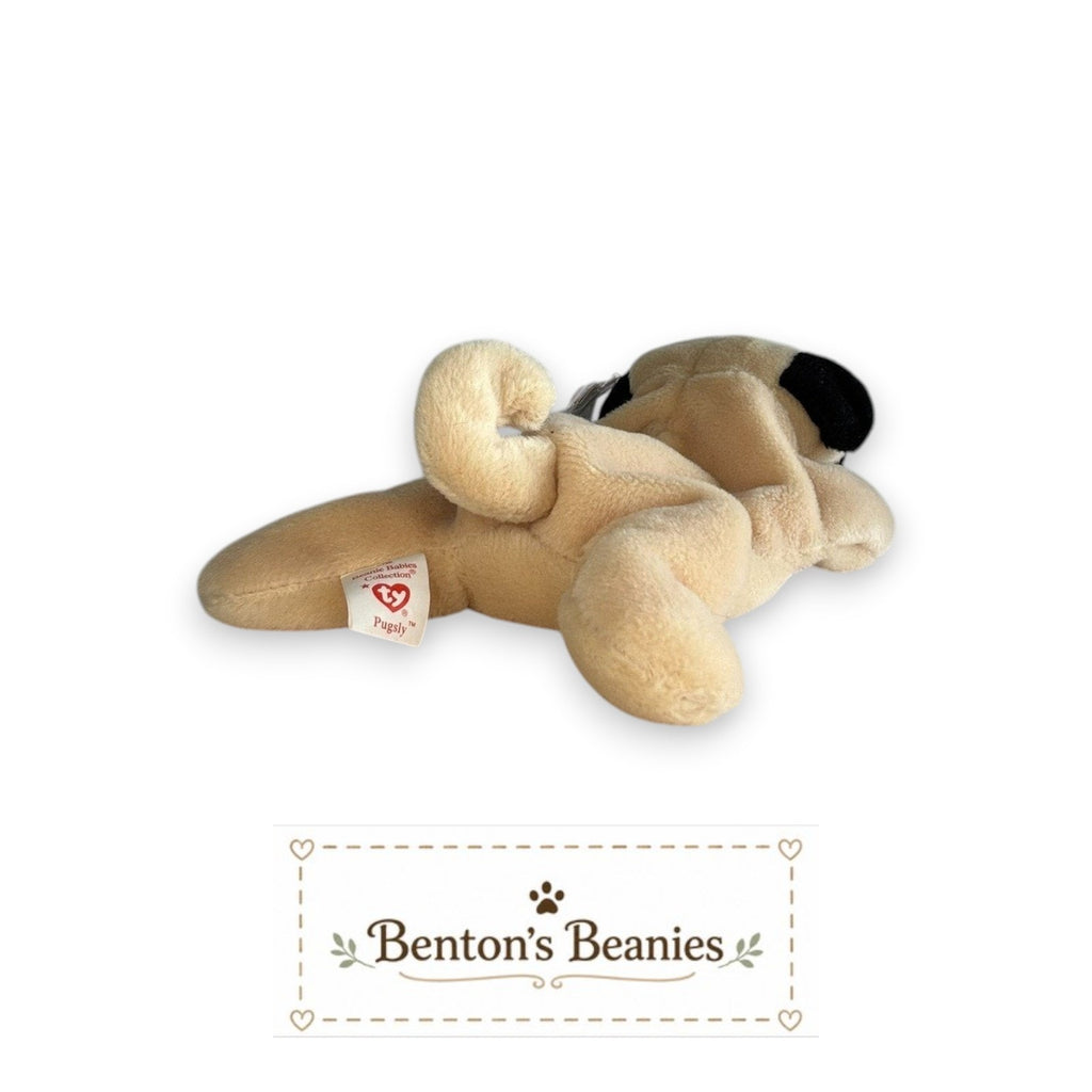 Pugsly the Pug Dog TY Beanie Baby | Mint Heart & Tush Tag
