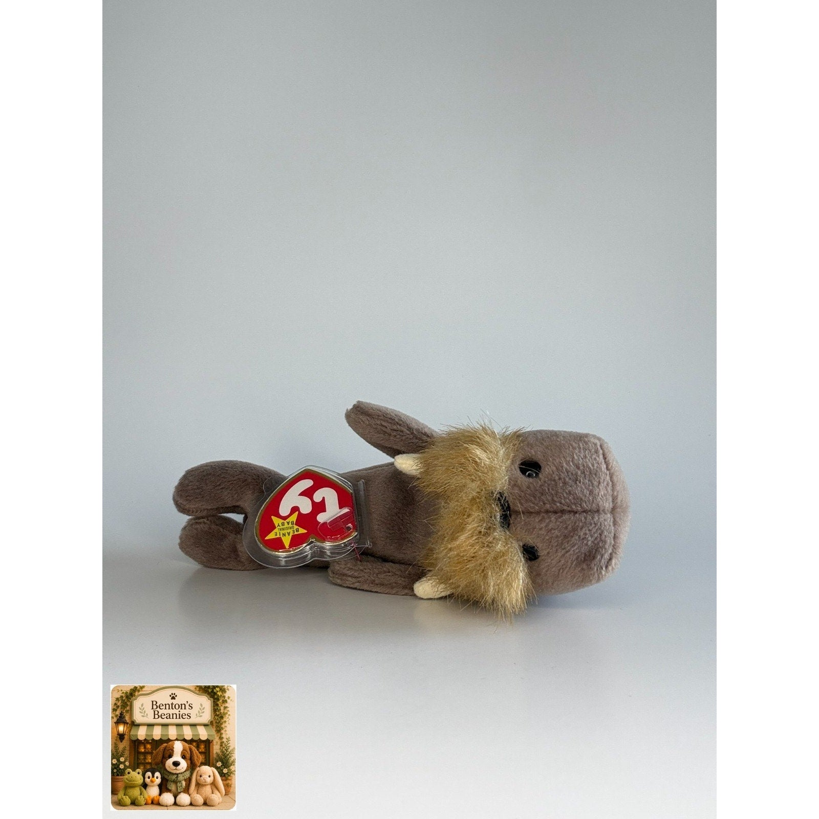 Jolly the Walrus TY Beanie Baby | Mint Heart & Tush Tag