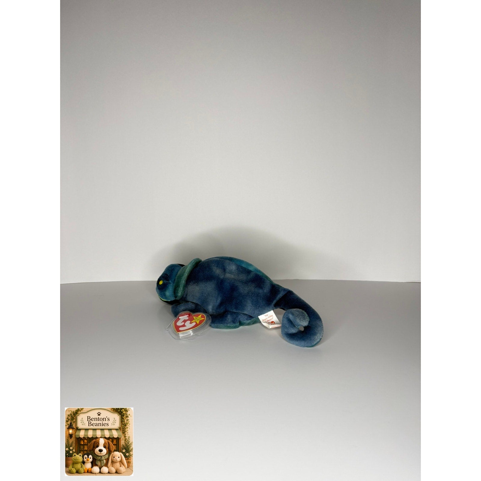 Rainbow the Chameleon TY Beanie Baby | Mint Heart & Tush Tag