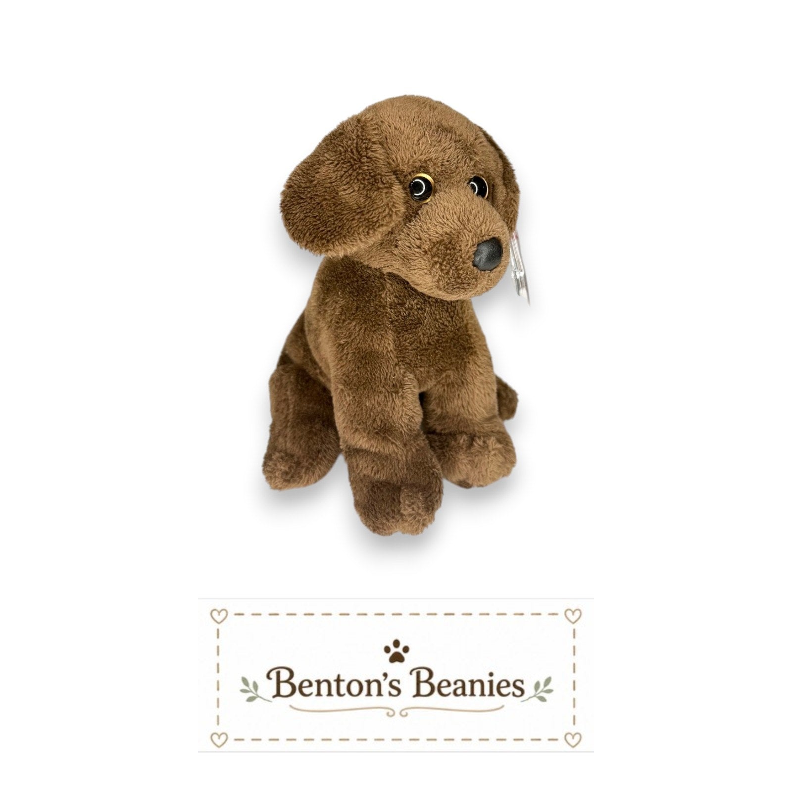 Cocoa the Dog TY Beanie Baby | Mint Heart & Tush Tag