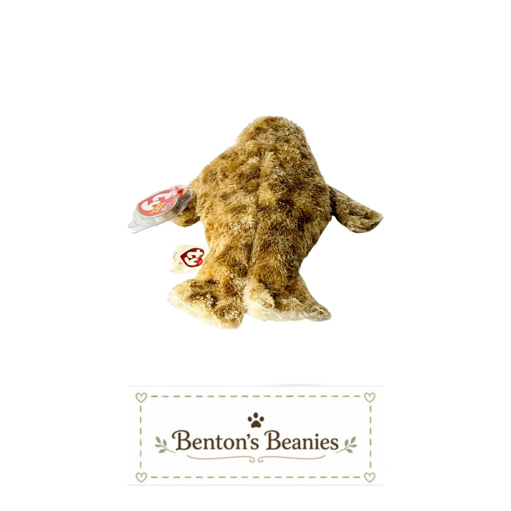 Fins the Seal TY Beanie Baby | Mint Heart & Tush Tag