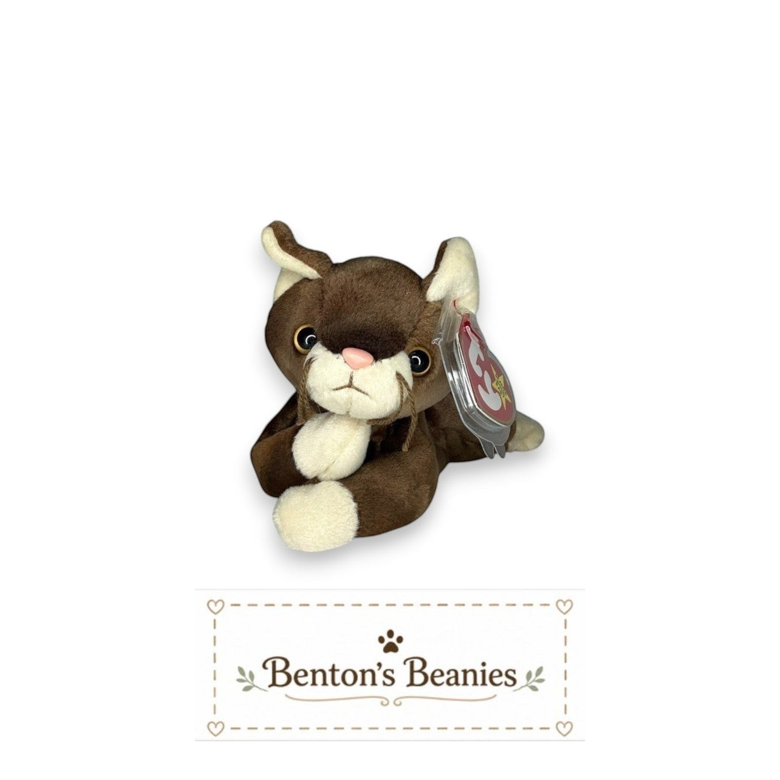 Pounce the Cat TY Beanie Baby | Mint Heart & Tush Tag