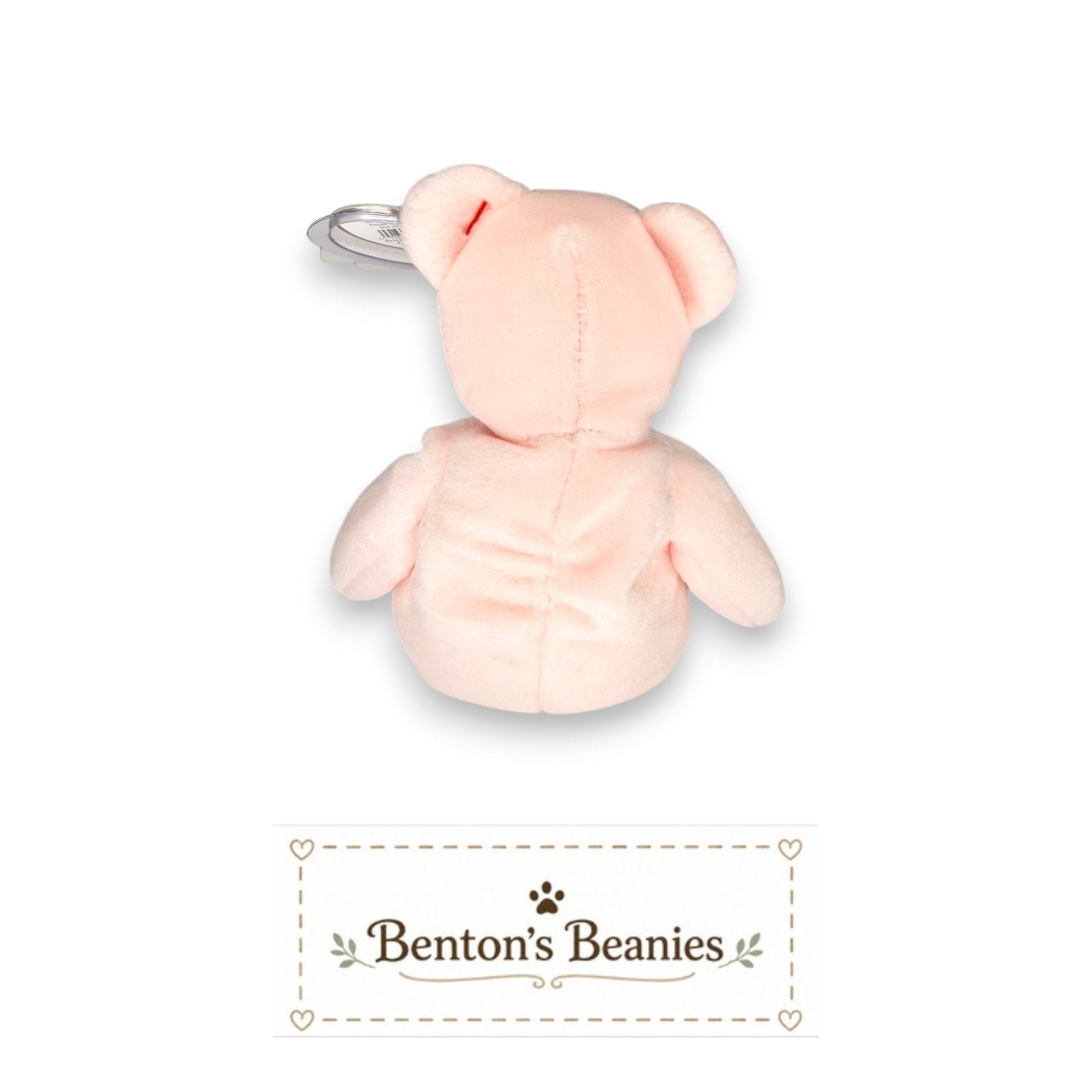 Cure the Bear TY Beanie Baby | Mint Heart & Tush Tag