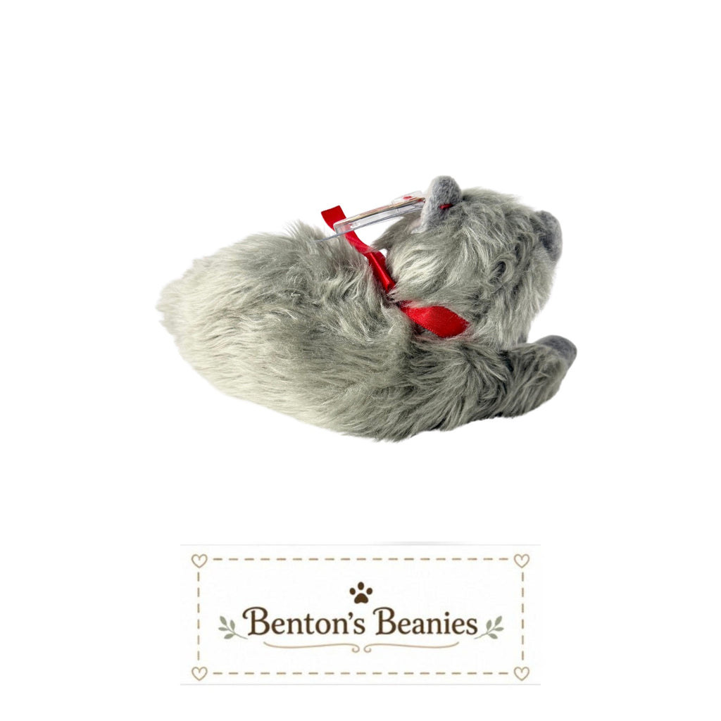 Beani the Cat TY Beanie Baby | Mint Heart & Tush Tag