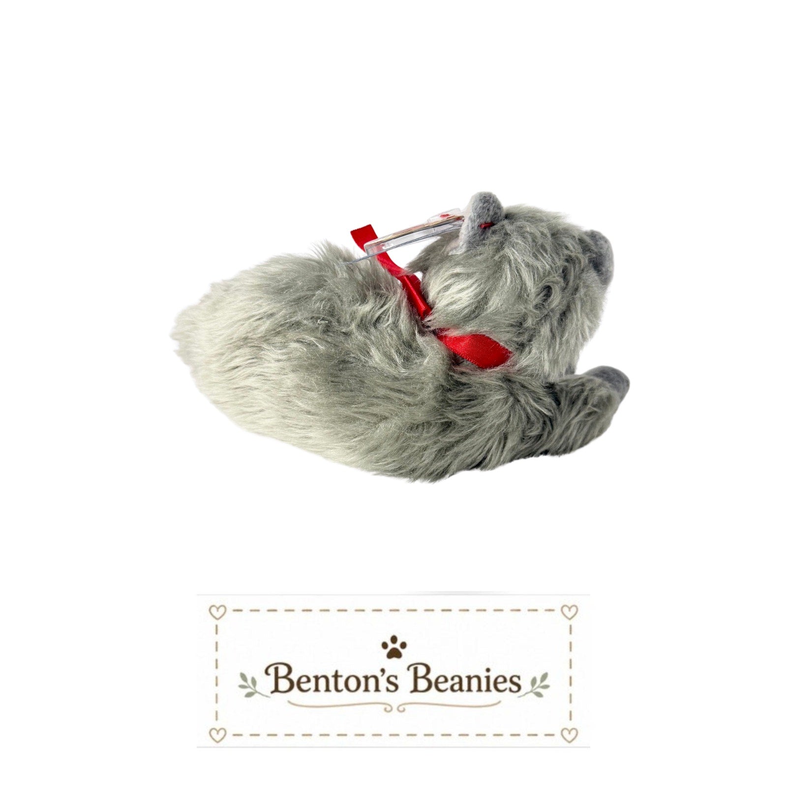 Beani the Cat TY Beanie Baby | Mint Heart & Tush Tag