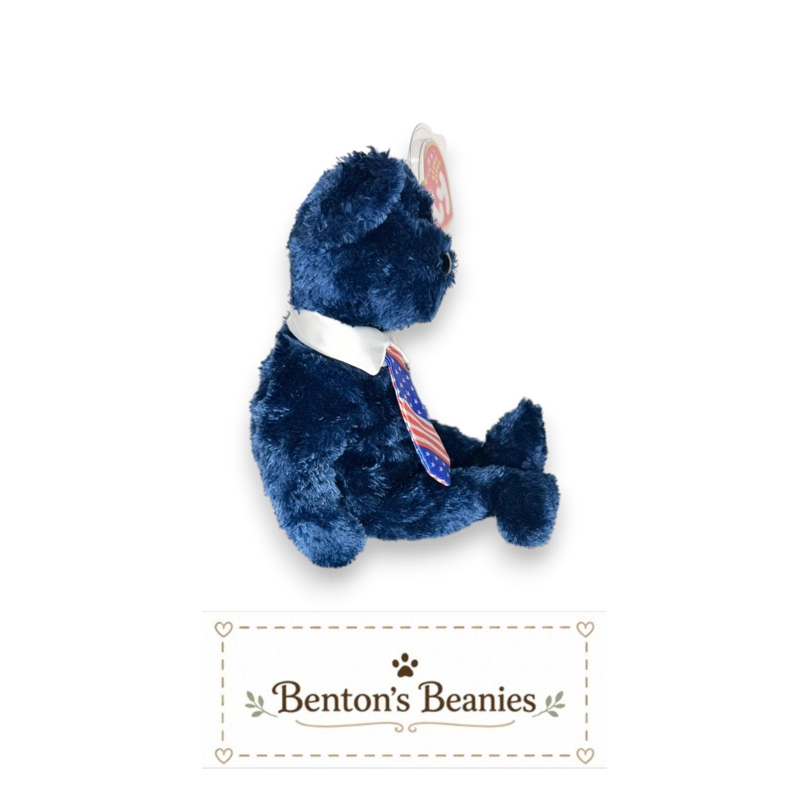 Pops the Bear TY Beanie Baby | Mint Heart & Tush Tag