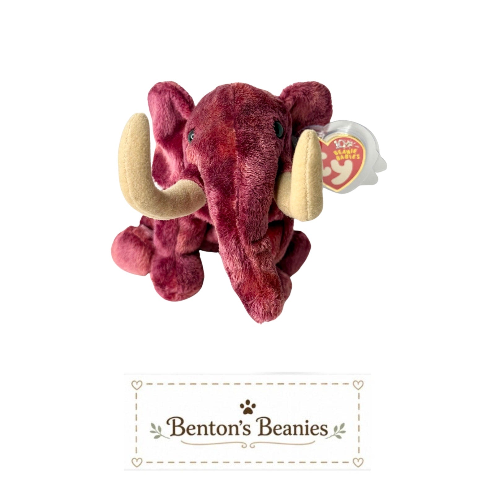 Colosso the Mammoth TY Beanie Baby | Mint Heart Tags