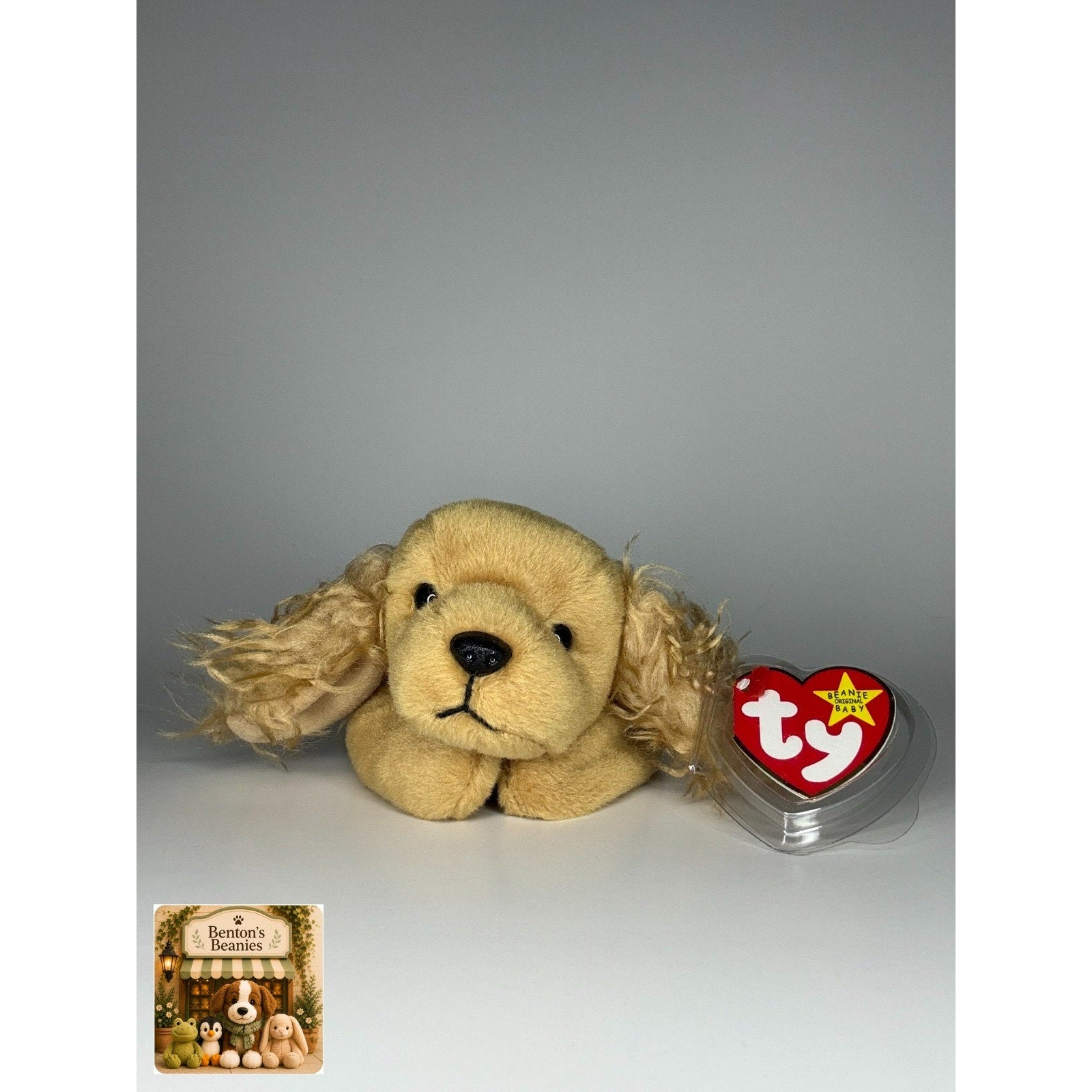 Spunky the Dog TY Beanie Baby | Mint Heart & Tush Tag