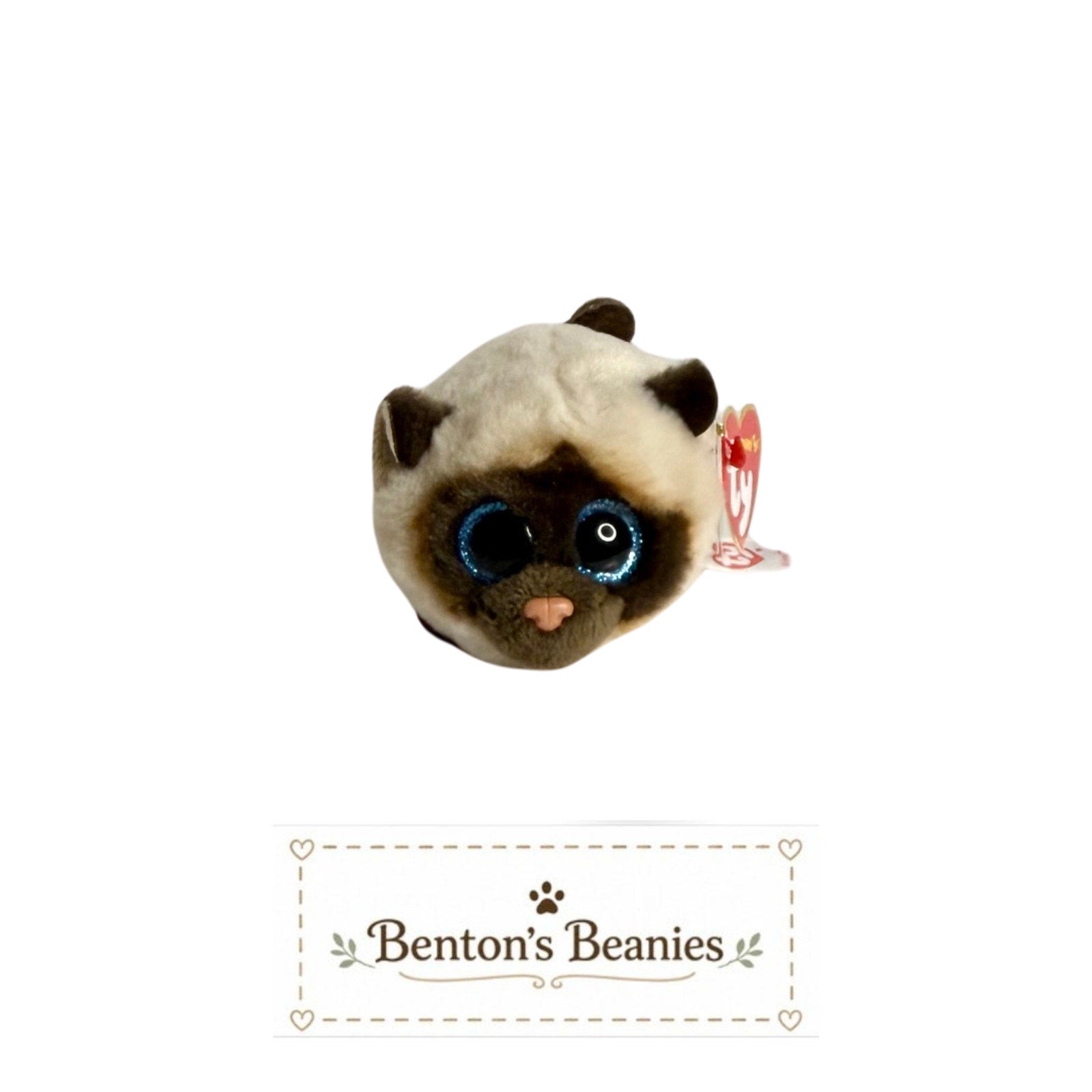 Kimi the Kitten TY Teeny Tys | New | Mint with Tags