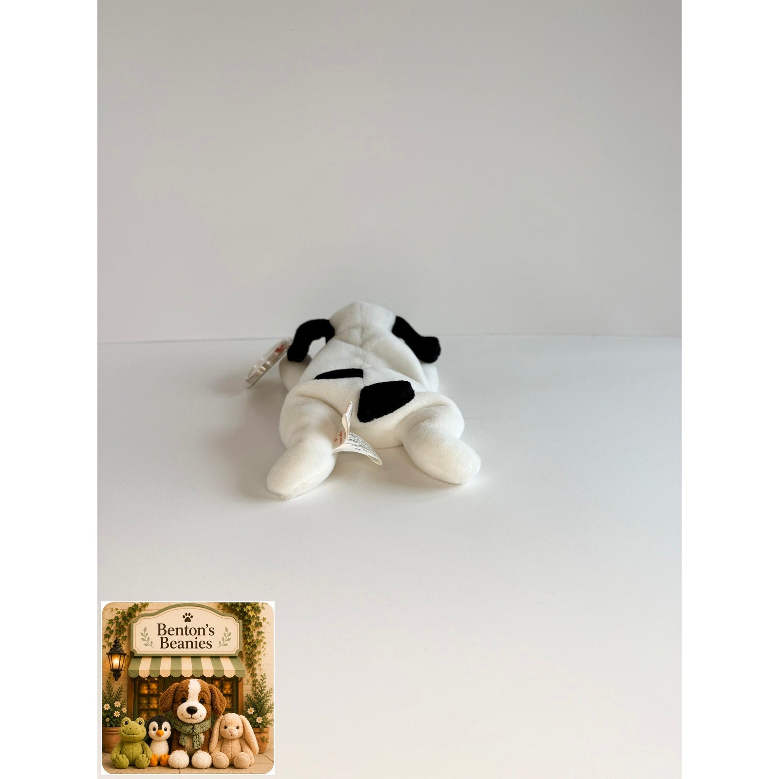 Spot the Dog TY Beanie Baby | Mint Heart & Tush Tag