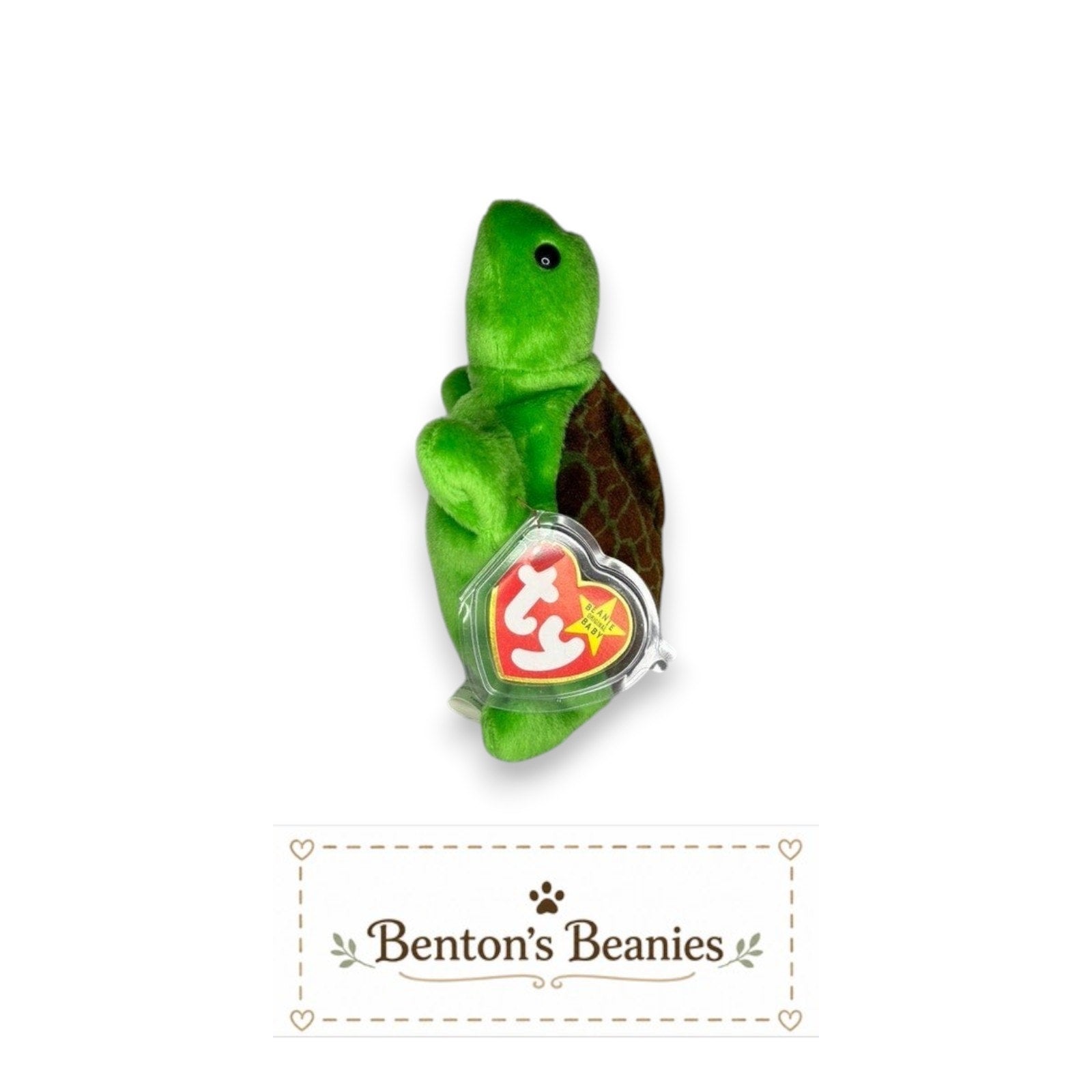 Speedy the Turtle TY Beanie Baby | Mint Heart/Tush Tag
