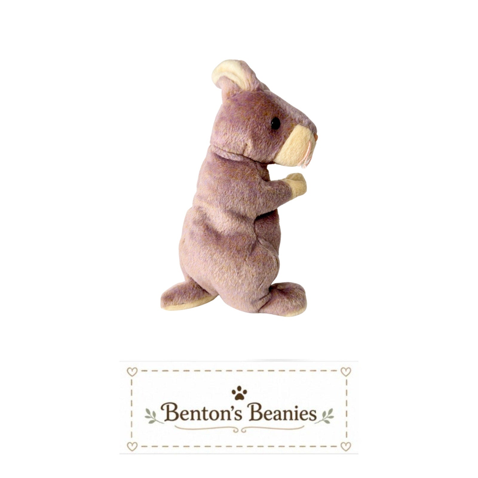 Springy the Rabbit TY Beanie Baby | Mint Heart & Tush Tag