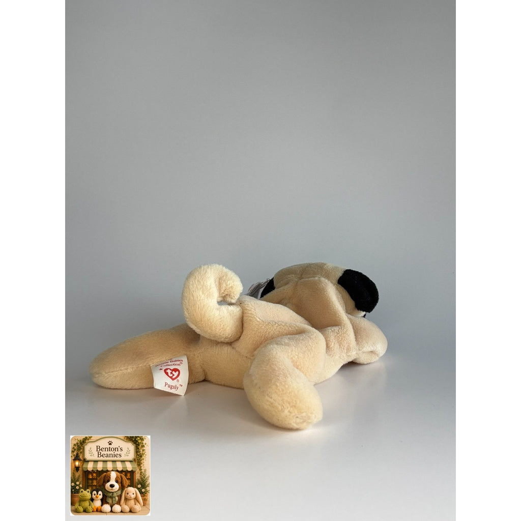 Pugsly the Pug Dog TY Beanie Baby | Mint Heart & Tush Tag