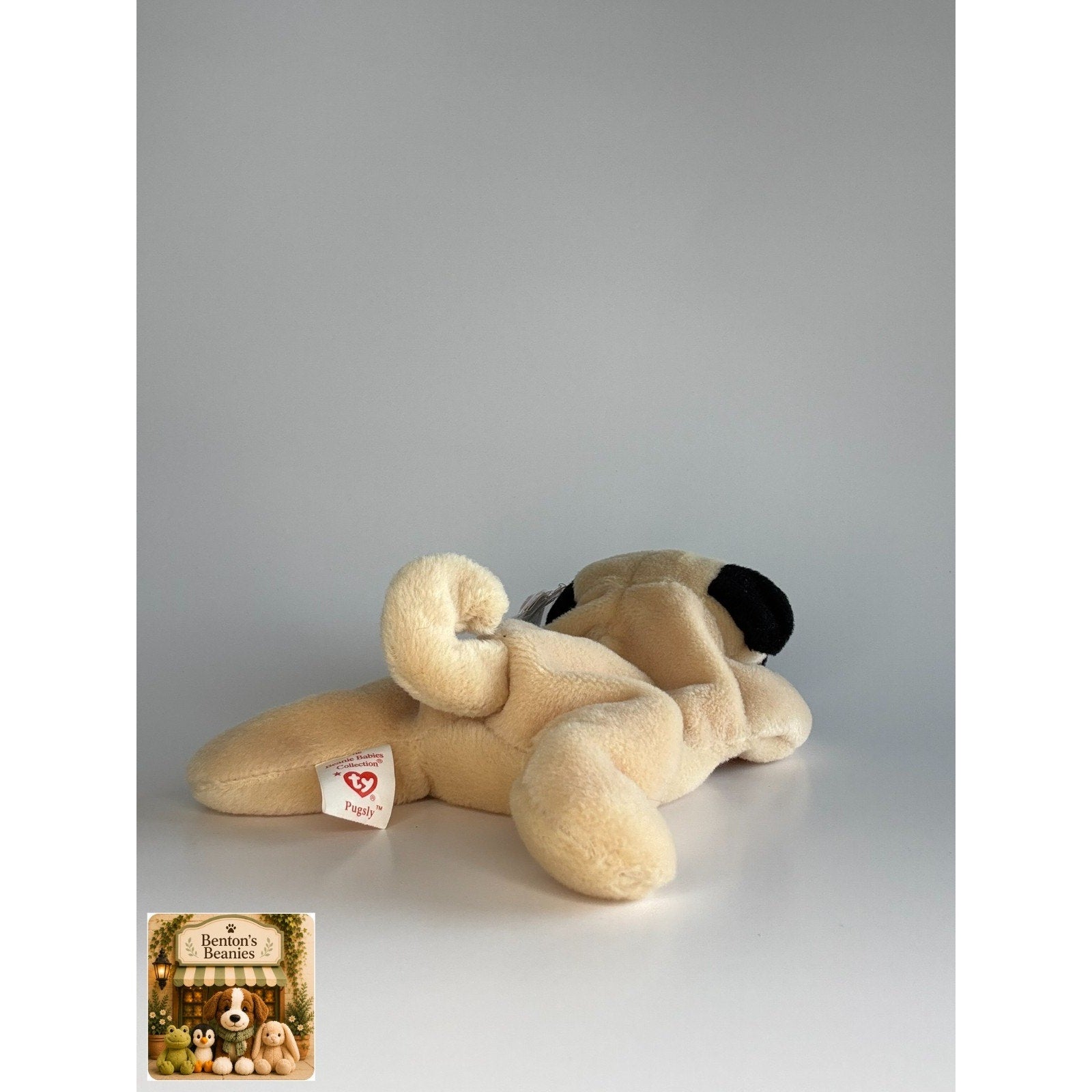 Pugsly the Pug Dog TY Beanie Baby | Mint Heart & Tush Tag