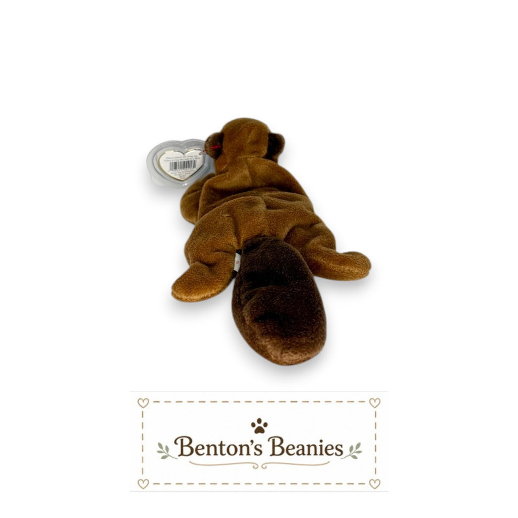 Bucky the Beaver TY Beanie Baby | Mint Heart & Tush Tag