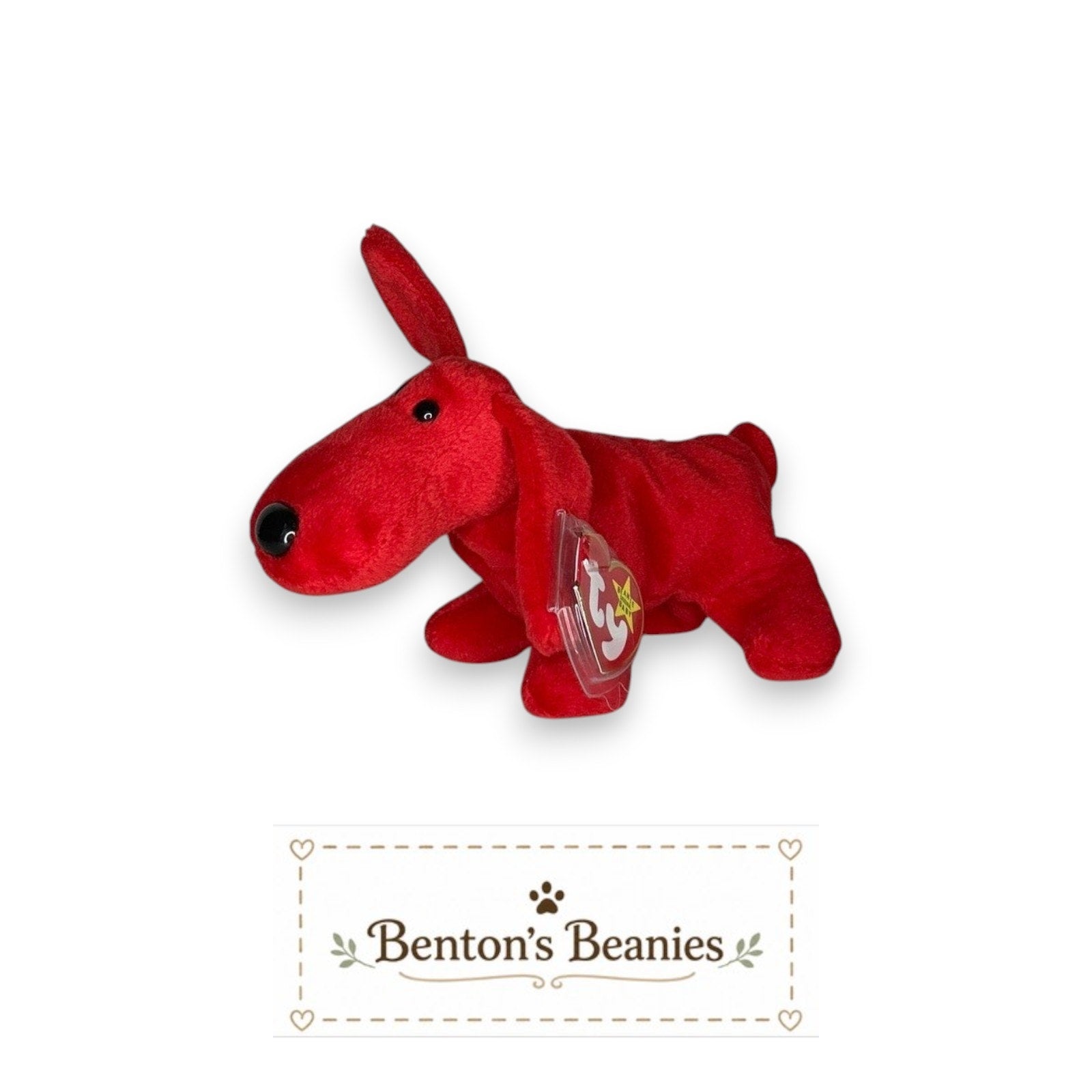 Rover the Dog TY Beanie Baby | Mint Heart & Tush Tag