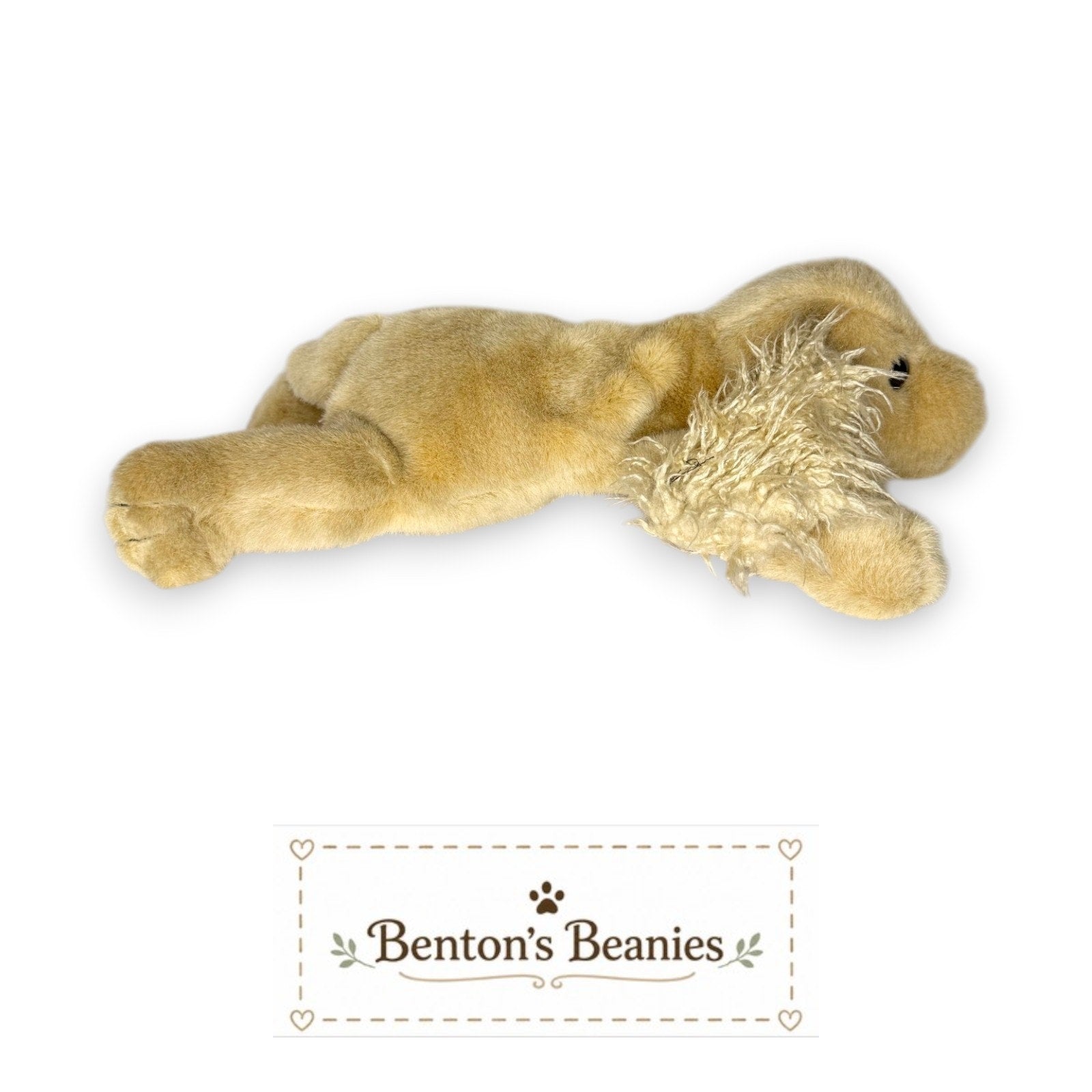Charlie the Dog TY Classic (Beanie Buddies Size) | Mint Tags