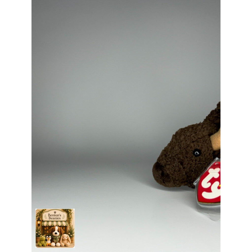 Roam the Buffalo TY Beanie Baby | Mint Heart & Tush Tag