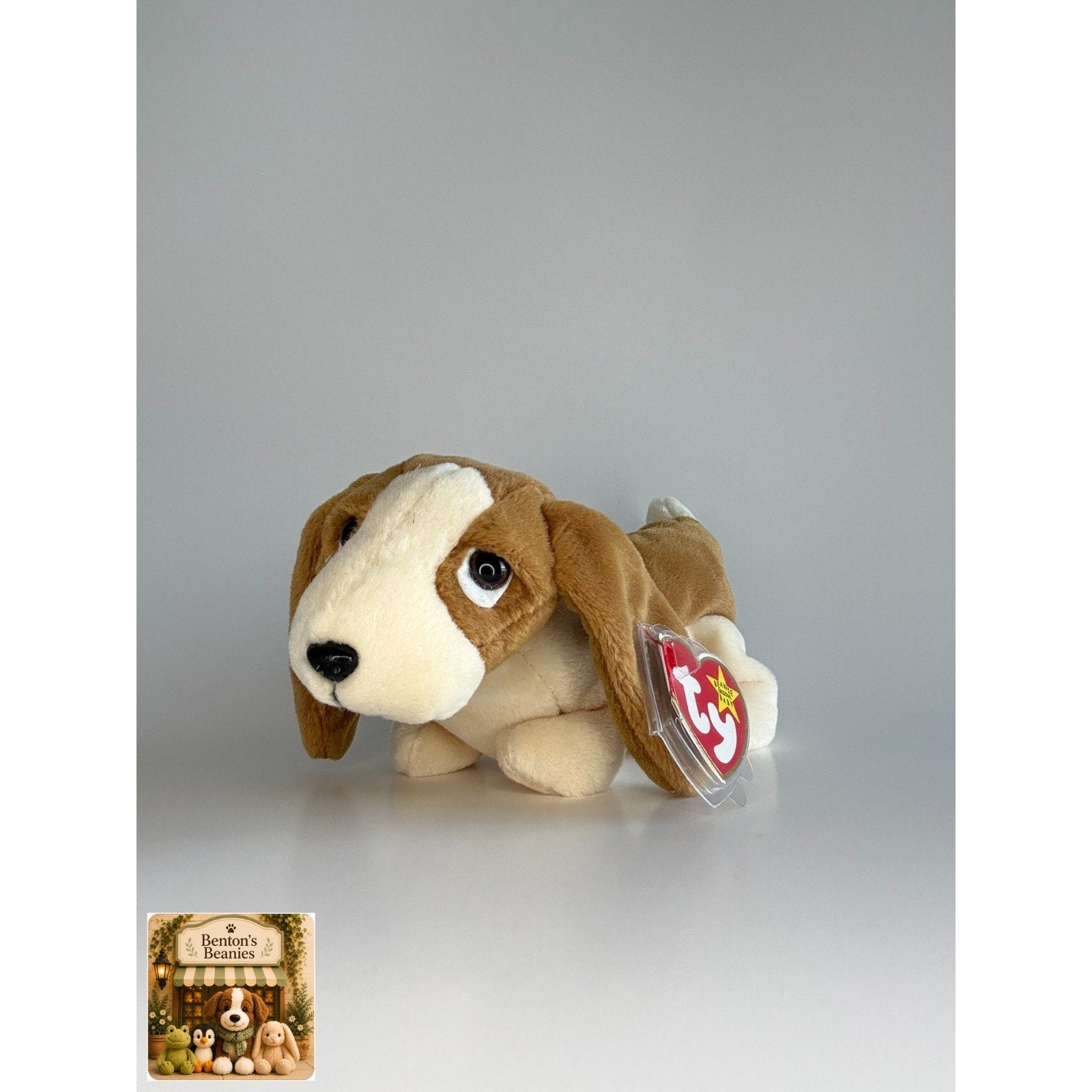 Tracker the Dog TY Beanie Baby | Mint Heart & Tush Tag