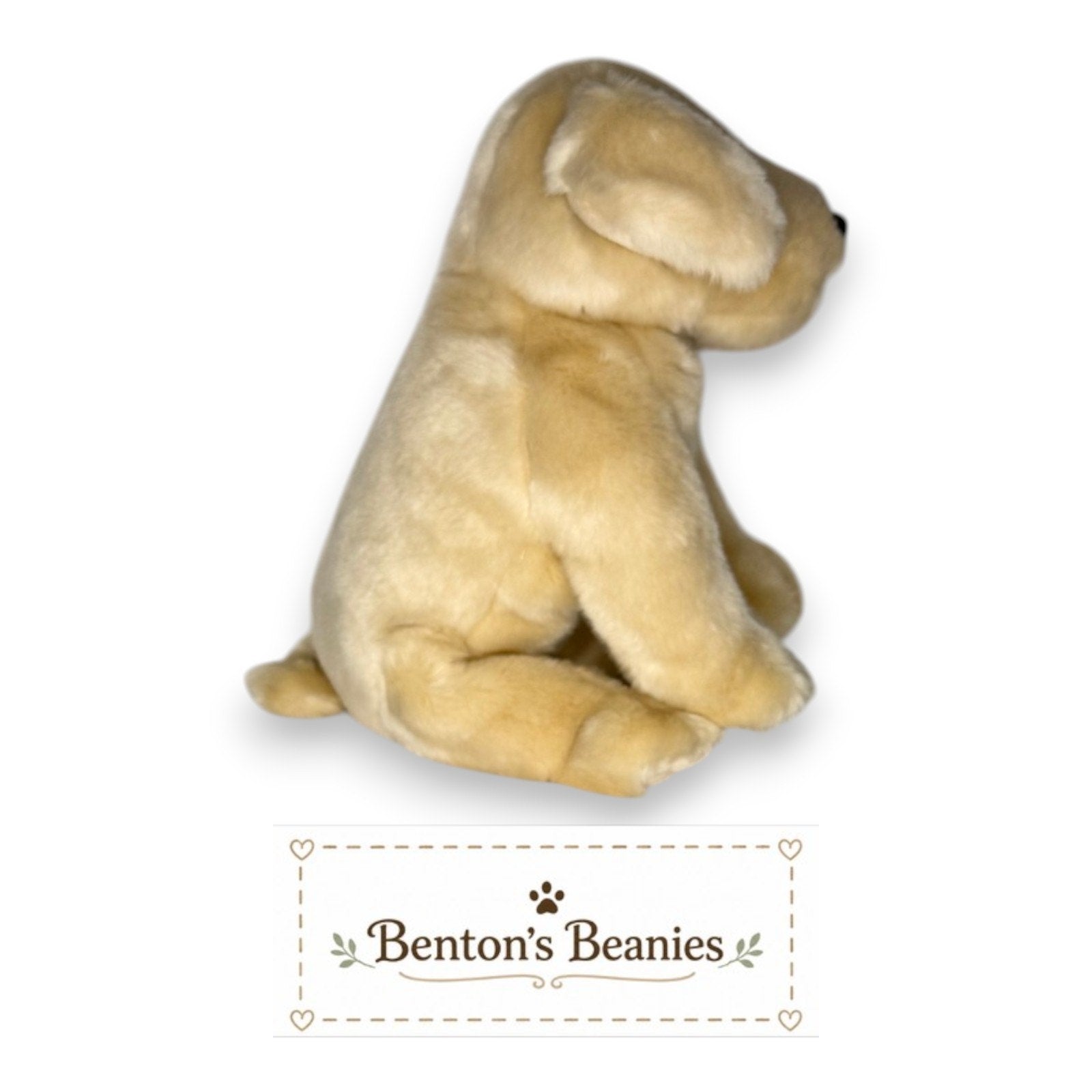 Fetch the Dog TY Beanie Buddies | Mint Tags