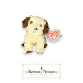Sneakers the Dog TY Beanie Baby | Mint Heart & Tush Tag