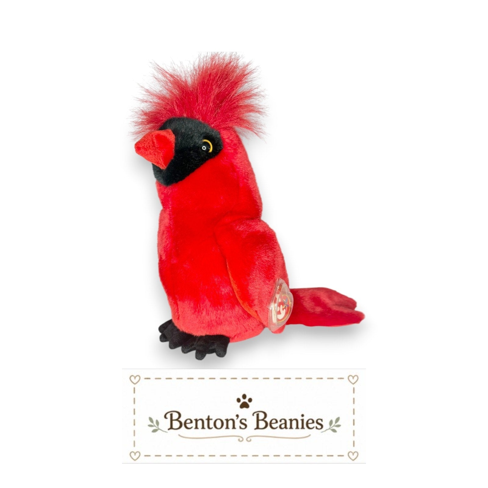 Mac the Cardinal TY Beanie Buddies | GOOD Heart & Tush Tag