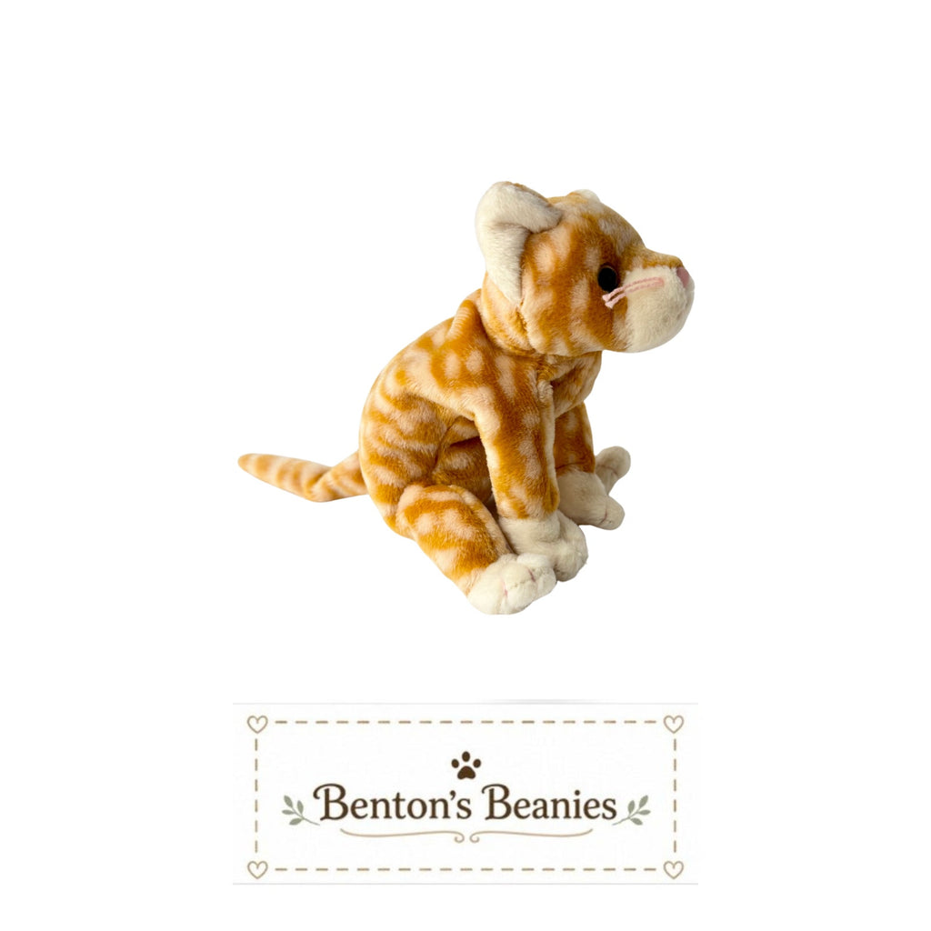 Amber the Cat TY Beanie Baby | Mint Heart & Tush Tag