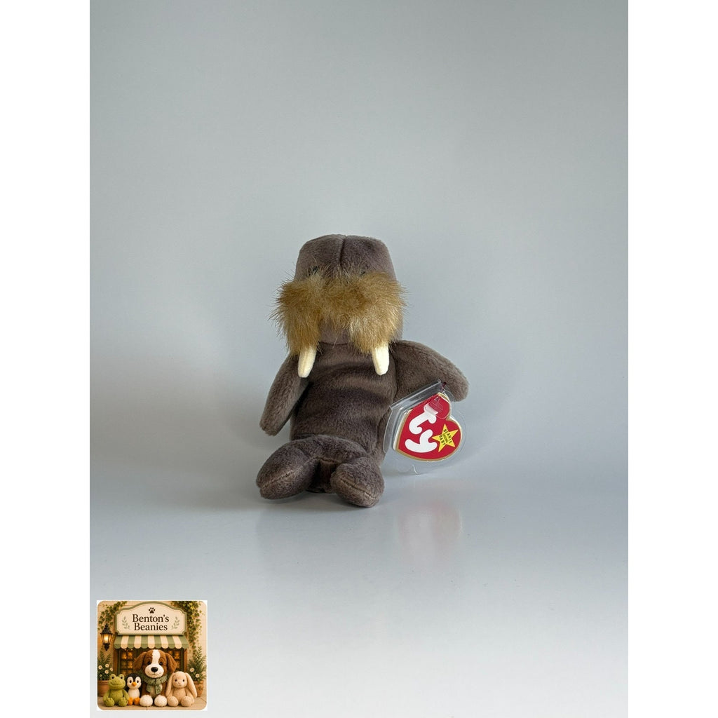 Jolly the Walrus TY Beanie Baby | Mint Heart & Tush Tag