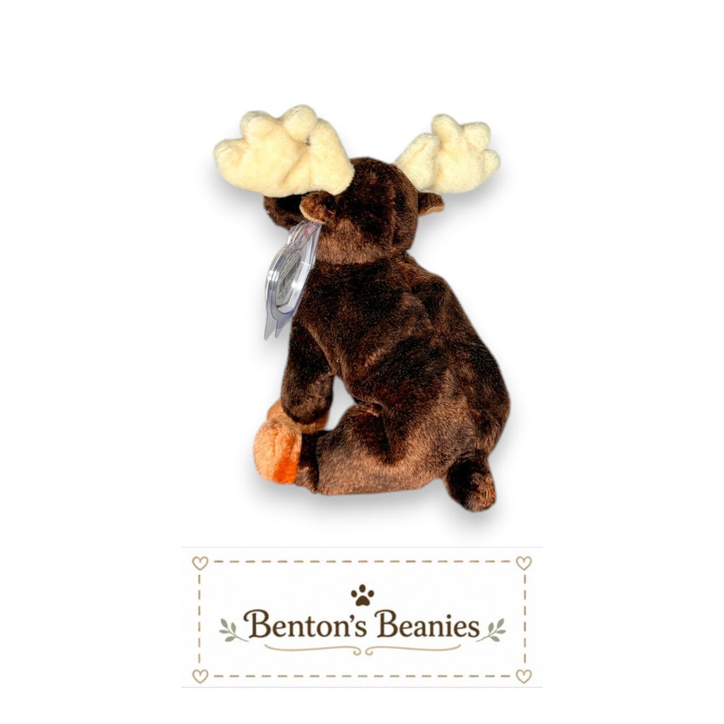 Zeus the Moose TY Beanie Baby | Mint Heart & Tush Tag