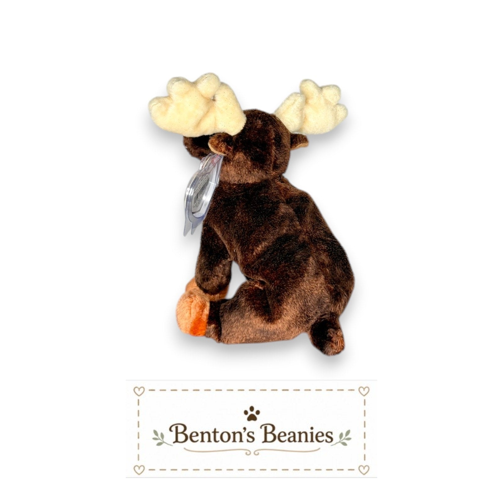 Zeus the Moose TY Beanie Baby | Mint Heart & Tush Tag