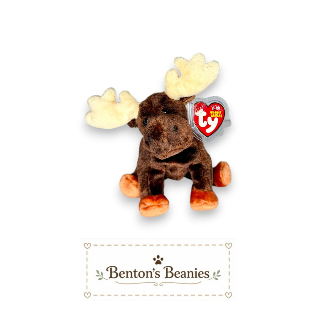 Zeus the Moose TY Beanie Baby | Mint Heart & Tush Tag