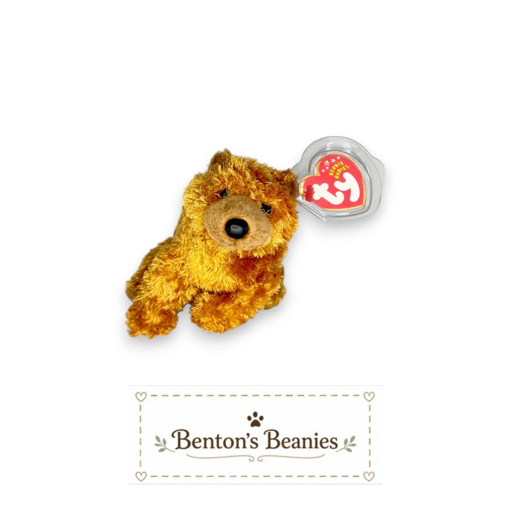 Sequoia the Bear TY Beanie Baby | Mint Heart & Tush Tag