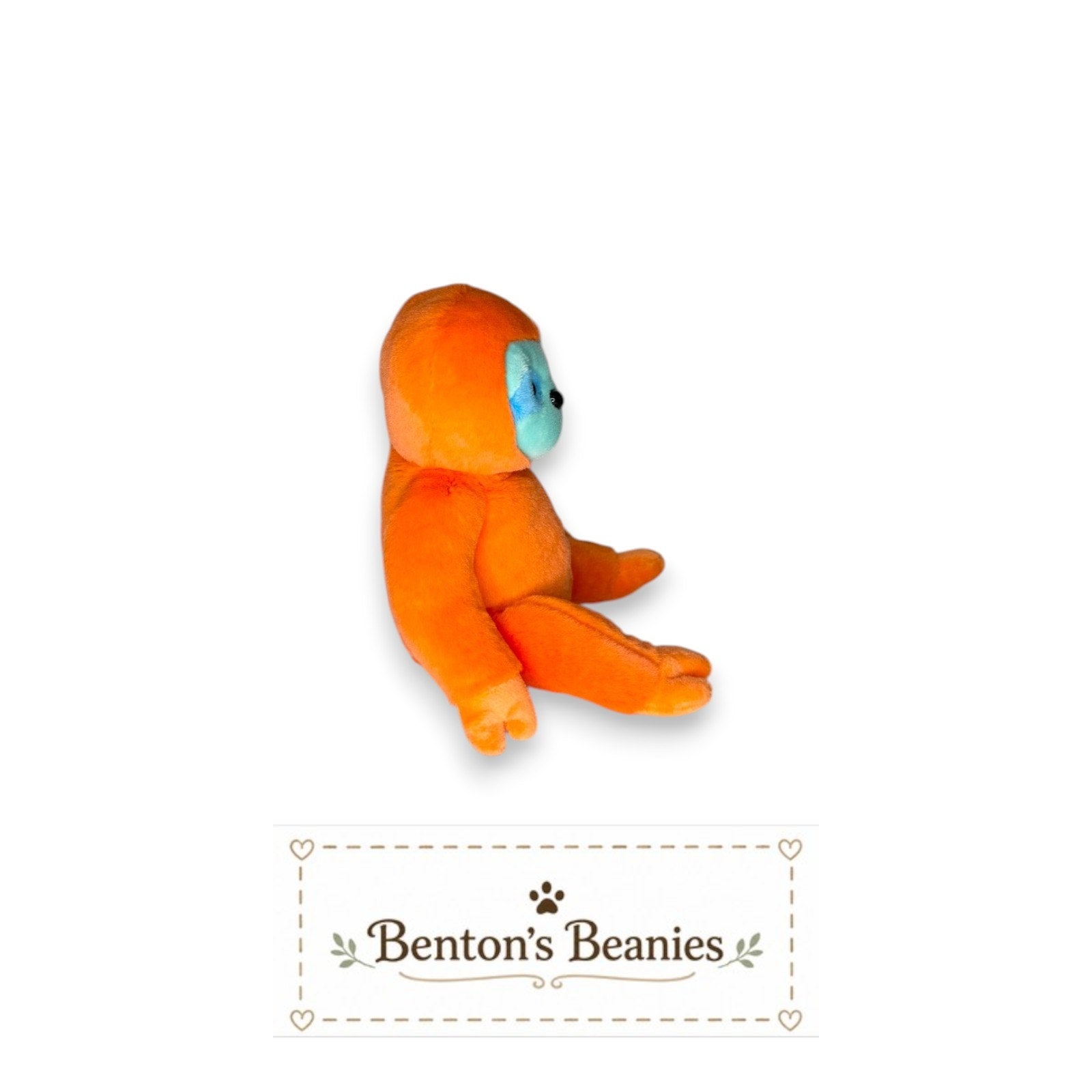 Molasses the Sloth TY Beanie Baby | Mint Heart & Tush Tag