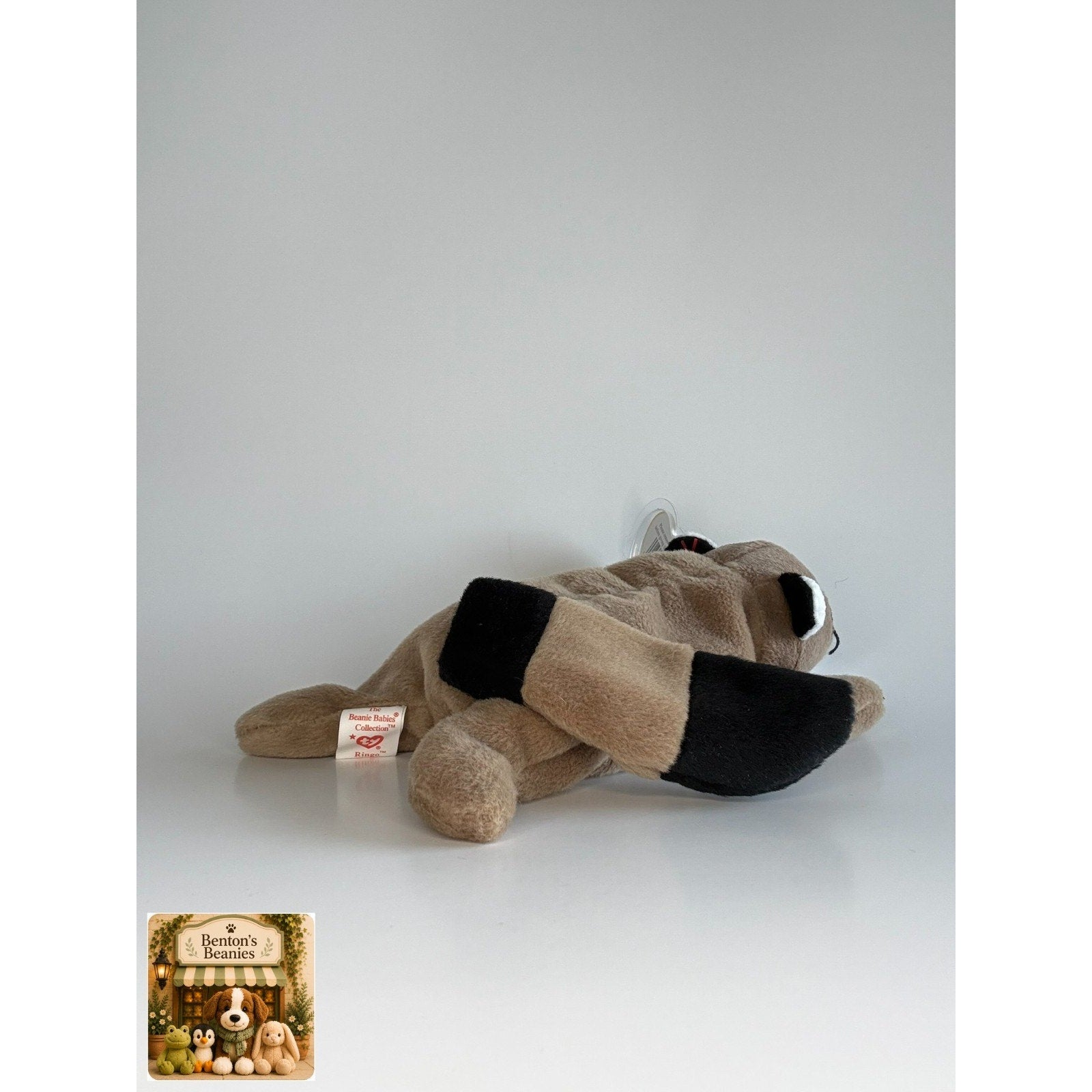 Ringo the Raccoon TY Beanie Baby | Mint Heart & Tush Tag