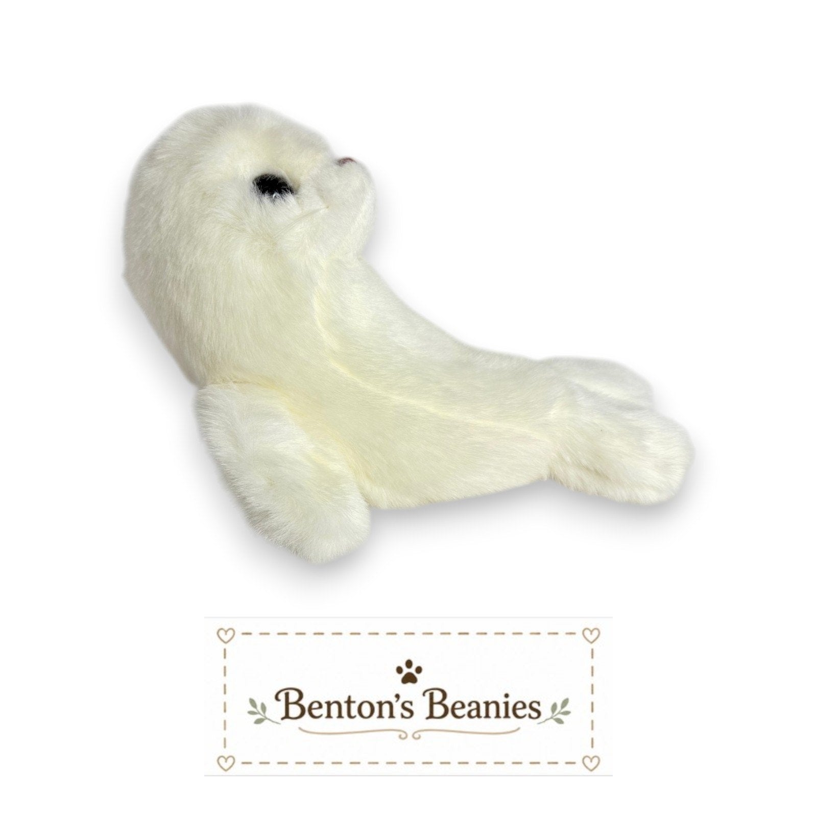 Misty the Seal TY Classic (Buddy Size) | Mint Heart Tush Tag