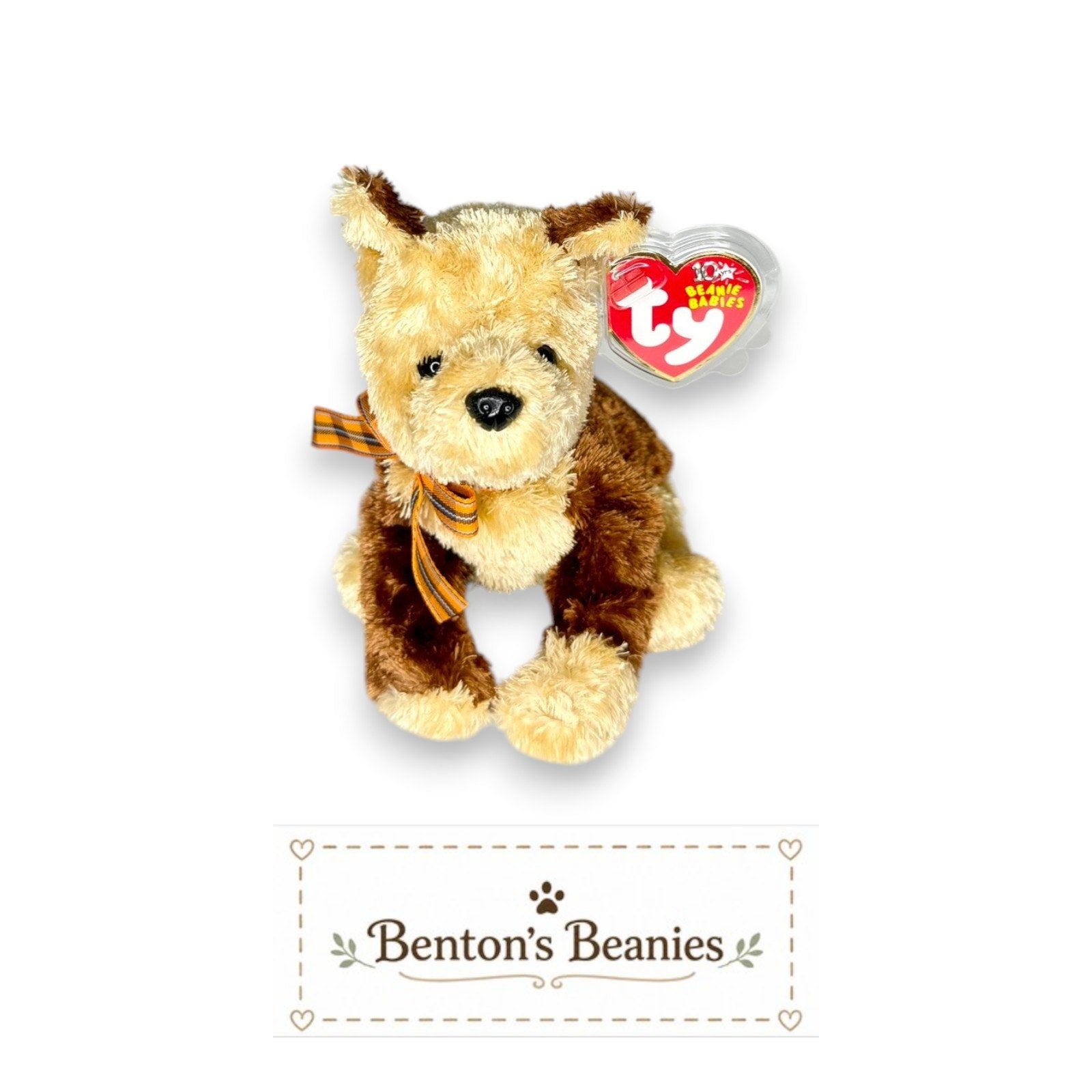 Fidget the Dog TY Beanie Baby | Mint Heart & Tush Tag