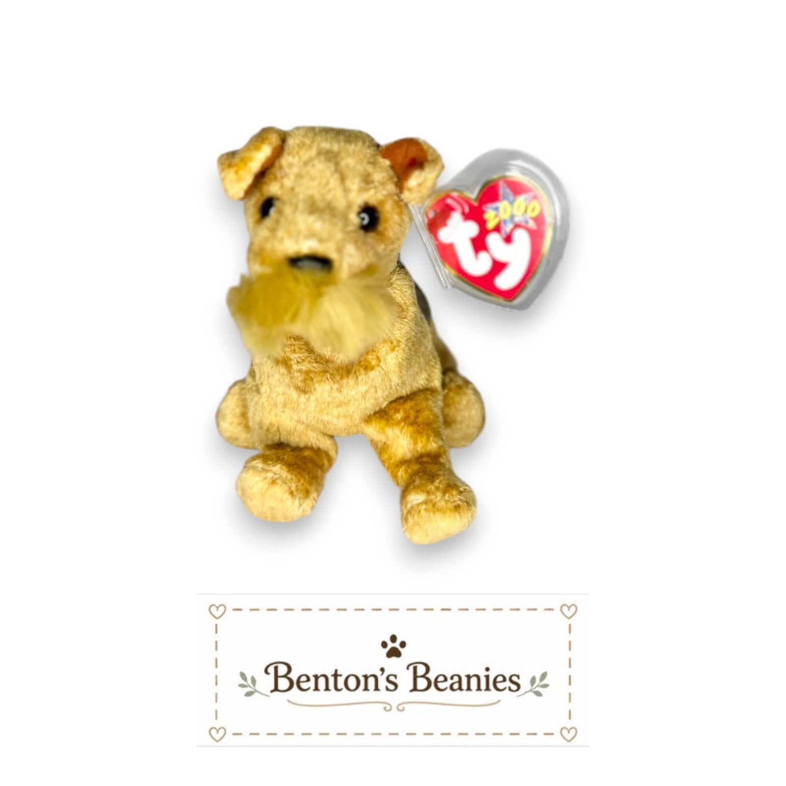 Whiskers the Dog TY Beanie Baby | Mint Heart & Tush Tag
