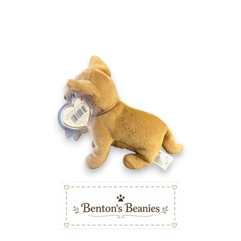 Tiny The Chihuahua TY Beanie Baby | Mint Heart & Tush Tag