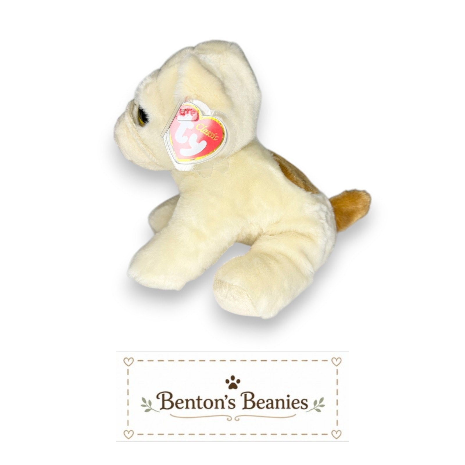 Houghie the Dog TY Classic (Buddy) | Mint Heart & Tush Tags