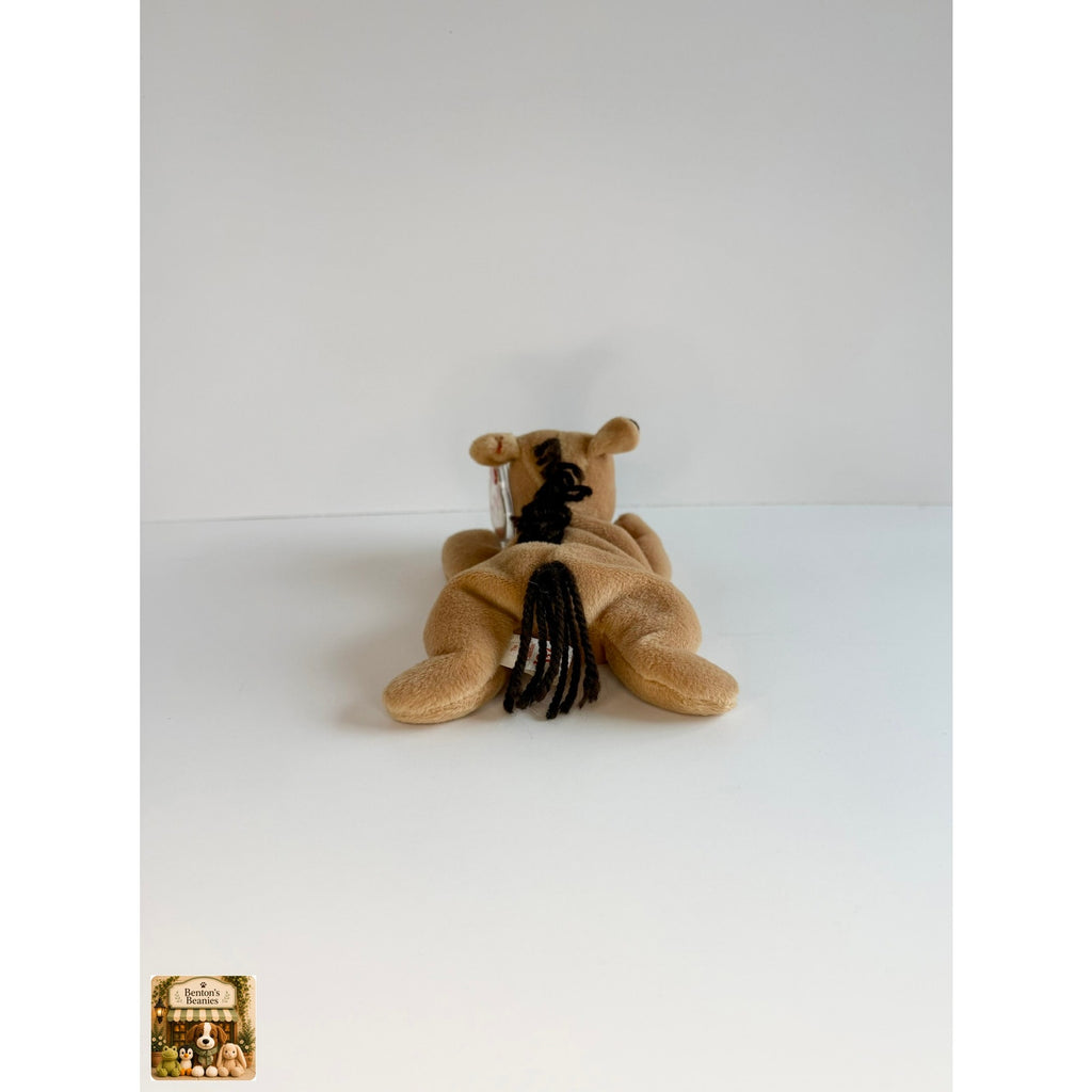 Derby the Horse TY Beanie Babies | Mint Heart & Tush Tag