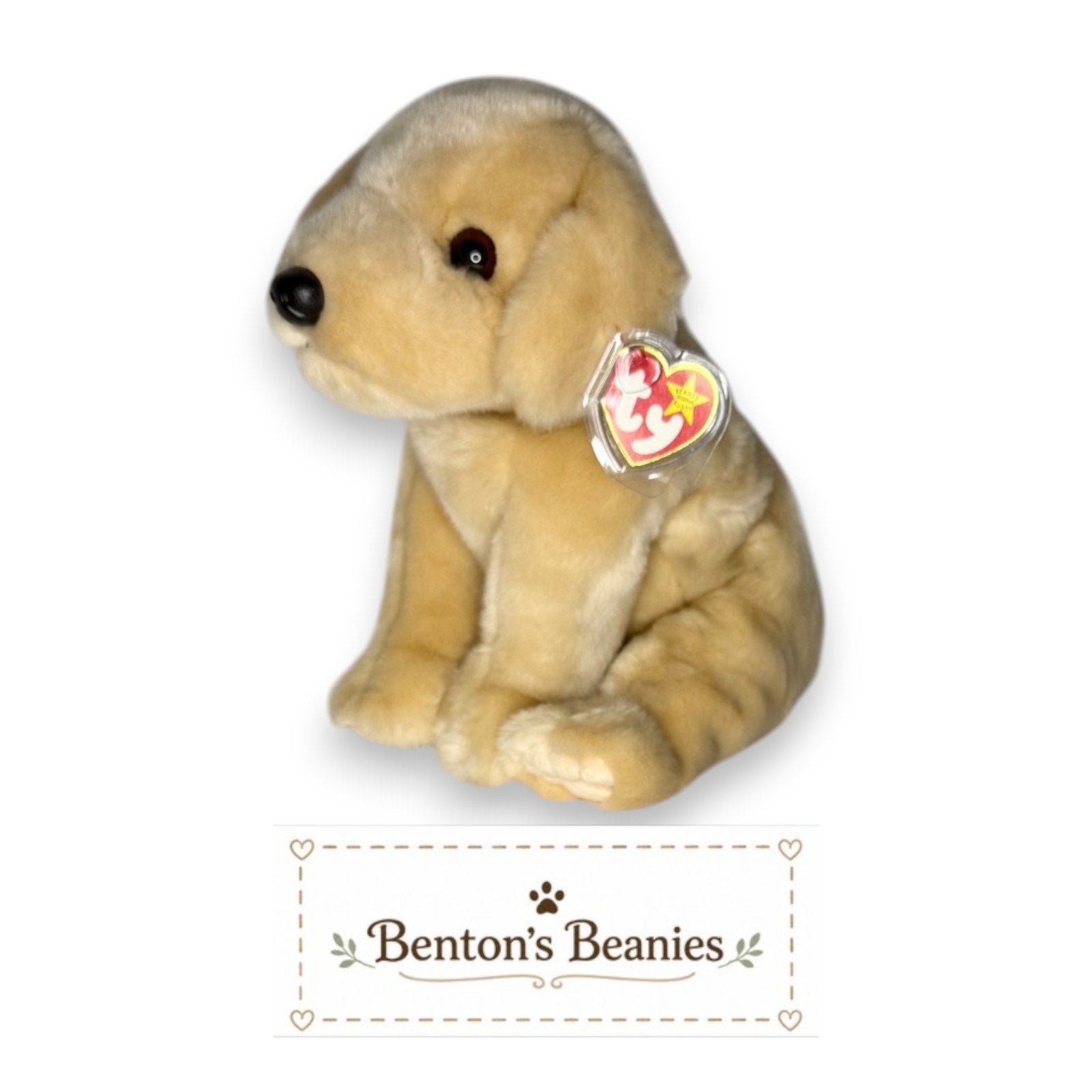 Fetch the Dog TY Beanie Buddies | Mint Tags