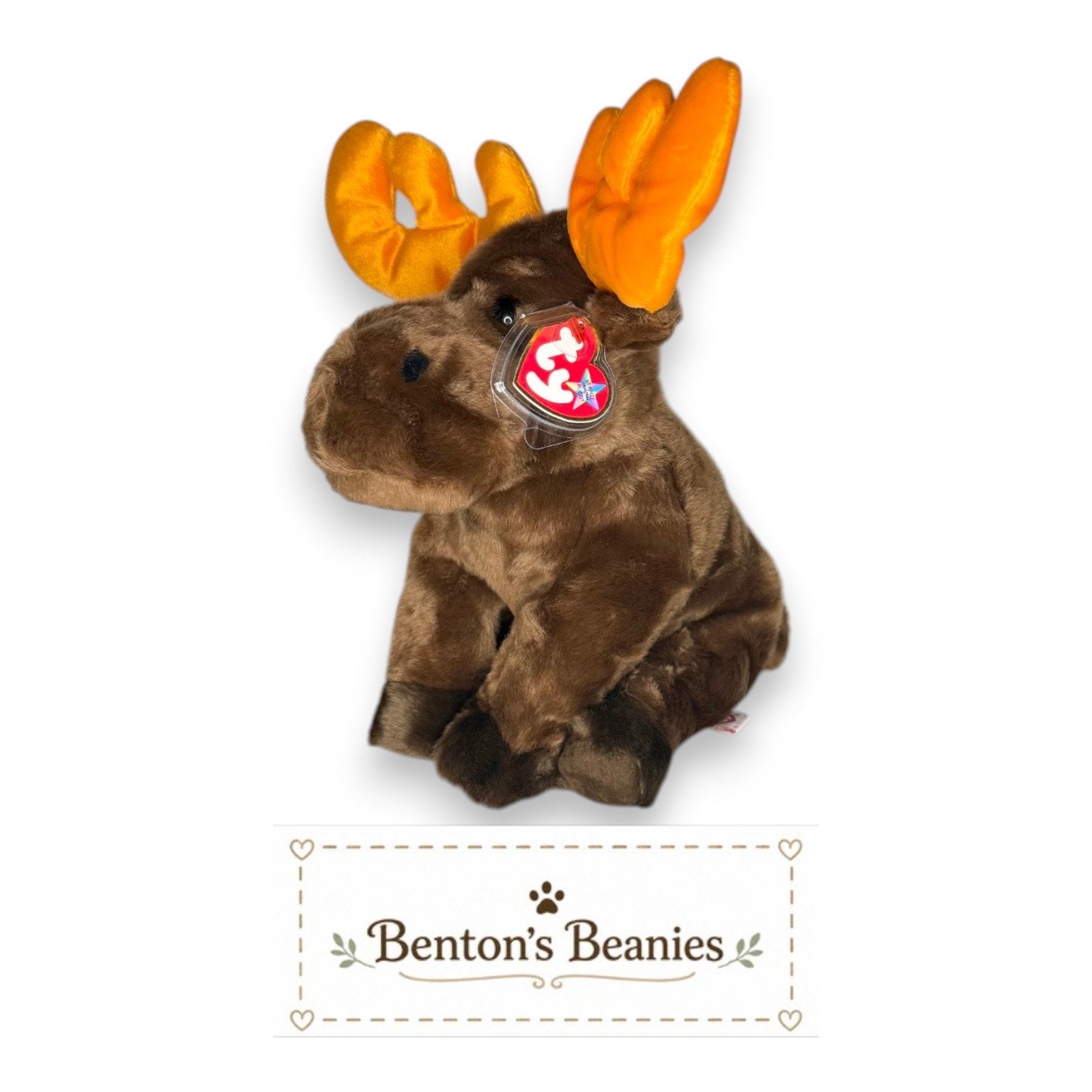 Chocolate the Moose TY Beanie Buddies | Mint Tags