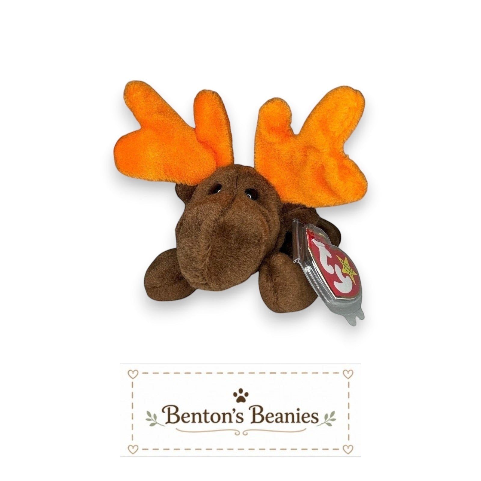 Chocolate the Moose TY Beanie Baby  | Mint Heart & Tush Tag
