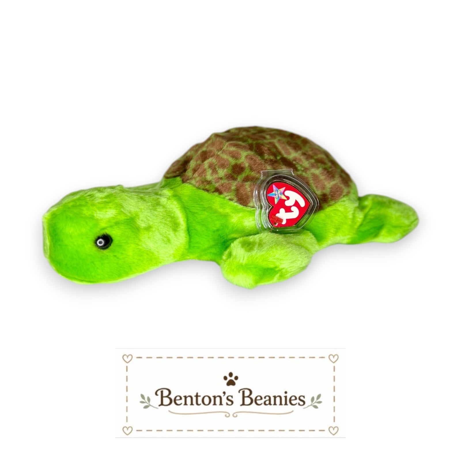 Speedy the Turtle TY Beanie Buddies | Mint Heart & Tush Tags