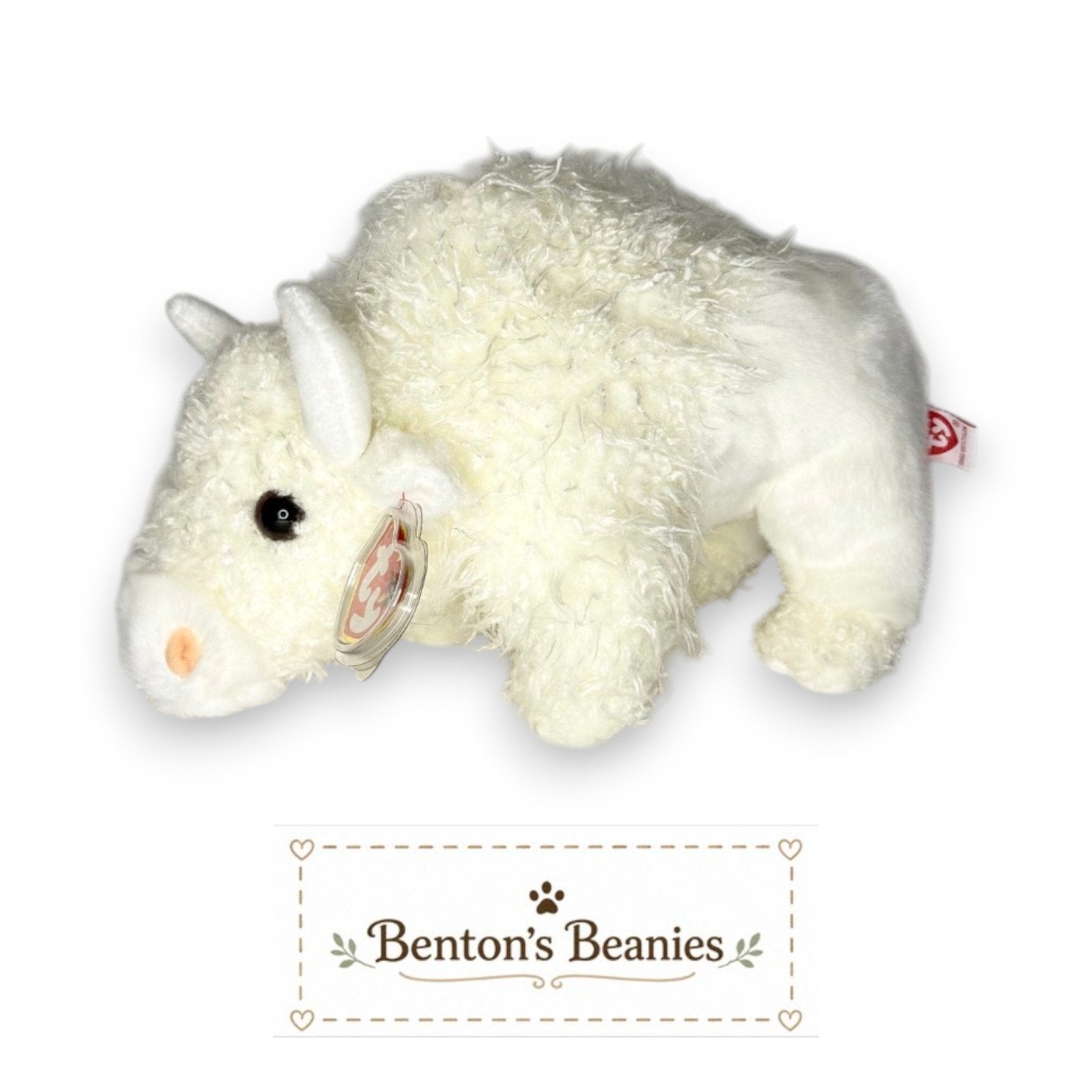 Roam the White Buffalo TY Beanie Buddy | Mint Tags