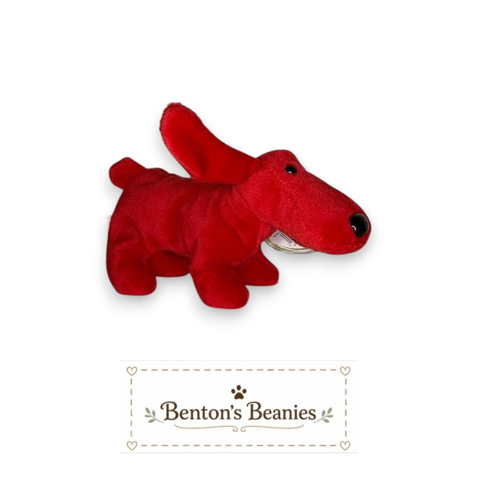 Rover the Dog TY Beanie Baby | Mint Heart & Tush Tag