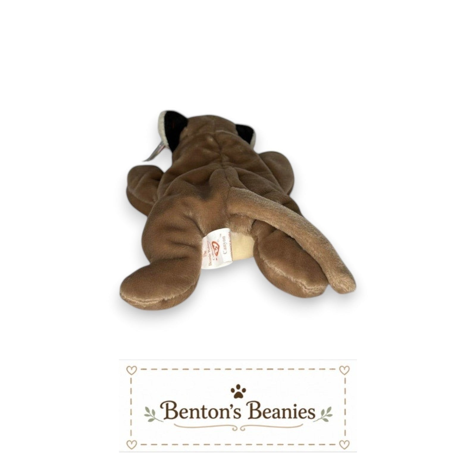 Canyon the Cougar TY Beanie Baby | Mint Heart/Tush Tag